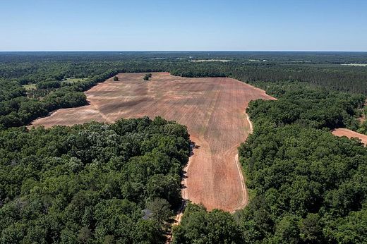 40 Acres of Agricultural Land for Sale in Leesburg, Georgia