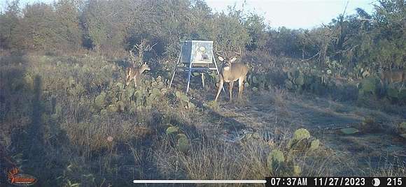 30.3 Acres of Recreational Land for Sale in Lampasas, Texas