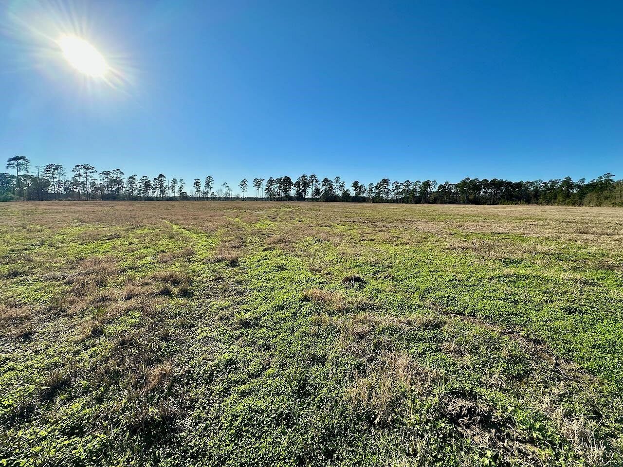 7.2 Acres of Residential Land for Sale in Kountze, Texas
