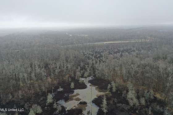 76.5 Acres of Recreational Land for Sale in Hernando, Mississippi