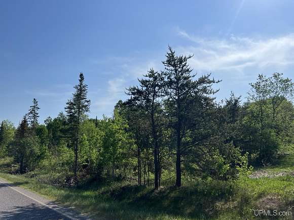 80 Acres of Recreational Land for Sale in Iron River, Michigan