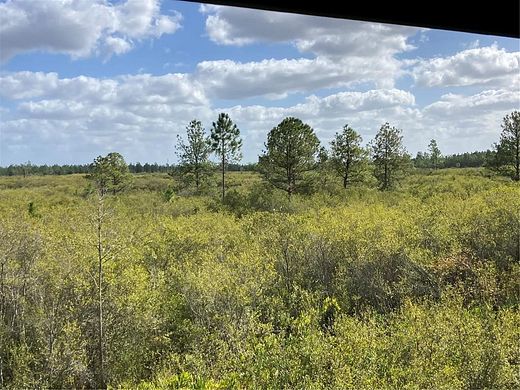 435 Acres of Recreational Land for Sale in Mayo, Florida