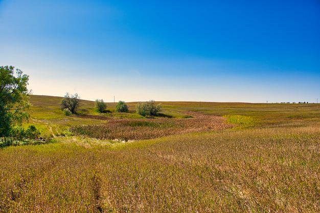 302 Acres of Recreational Land for Sale in Hettinger, North Dakota