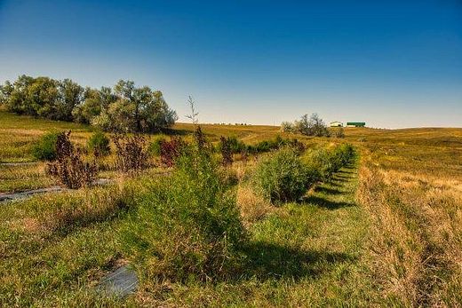 301.8 Acres of Recreational Land for Sale in Hettinger, North Dakota ...