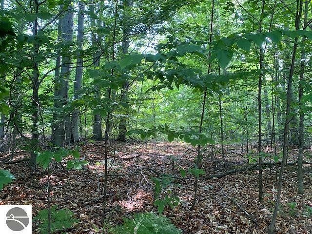 0.68 Acres of Residential Land for Sale in Kewadin, Michigan