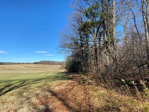 15 Acres of Recreational Land for Sale in Pulteney, New York