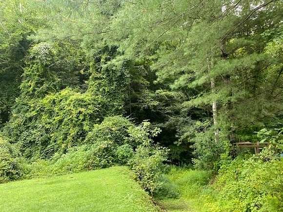 75 Acres of Land for Sale in River, Kentucky