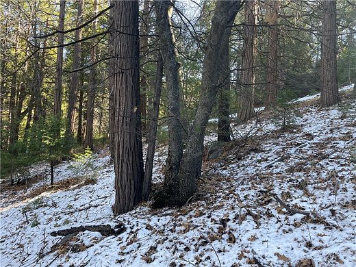 0.12 Acres of Residential Land for Sale in Cedarpines Park, California