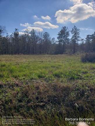 31.9 Acres of Land for Sale in Vinton, Louisiana