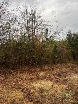 13.1 Acres of Recreational Land for Sale in Rembert, South Carolina