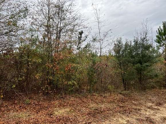 13.11 Acres of Recreational Land for Sale in Rembert, South Carolina