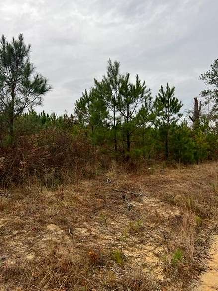 6.3 Acres of Land for Sale in Rembert, South Carolina