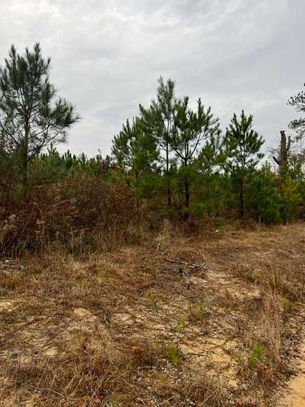 6.3 Acres of Land for Sale in Rembert, South Carolina