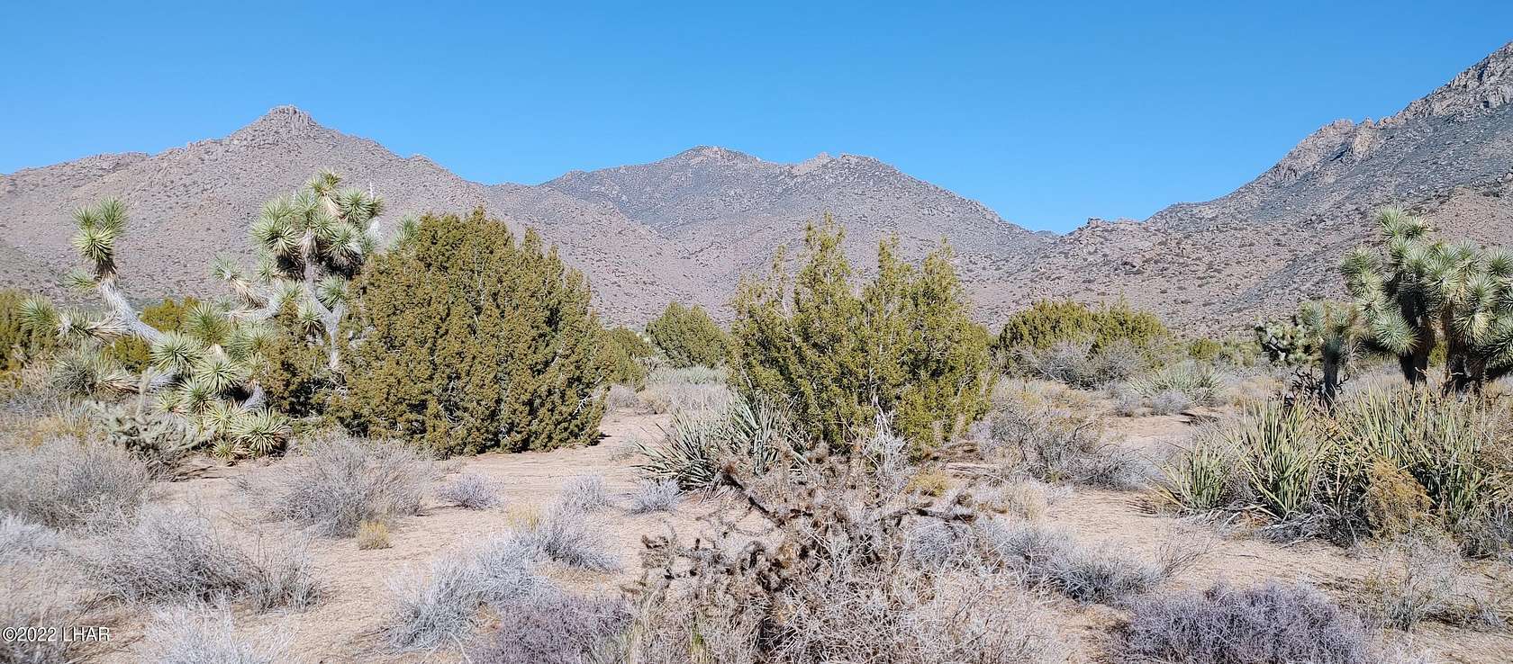 15 Acres of Land for Sale in Yucca, Arizona