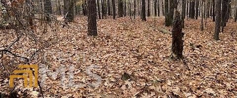 17.4 Acres of Land for Sale in Juliette, Georgia