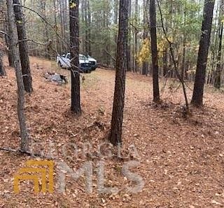 17.4 Acres of Land for Sale in Juliette, Georgia