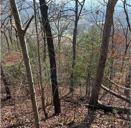 1.26 Acres of Land for Sale in Hayesville, North Carolina