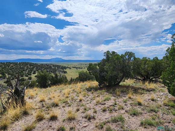 27.6 Acres of Agricultural Land for Sale in Quemado, New Mexico