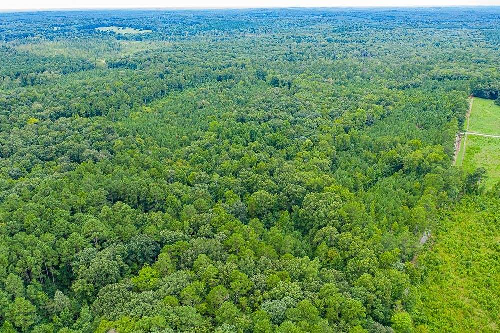 Land for Sale in Pittsboro, North Carolina