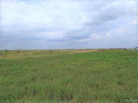 32.3 Acres of Agricultural Land for Sale in Mercedes, Texas