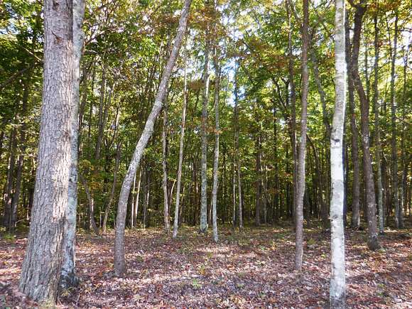 1 Acre of Residential Land for Sale in Crossville, Tennessee