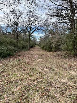 30.8 Acres of Recreational Land for Sale in Buffalo, Texas