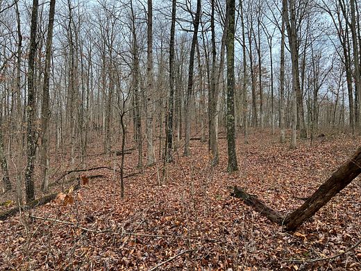 46 Acres of Recreational Land for Sale in Elizabeth, West Virginia