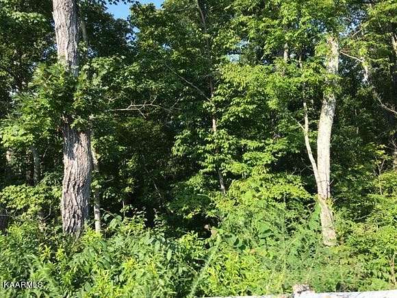 6.5 Acres of Residential Land for Sale in Dandridge, Tennessee - LandSearch