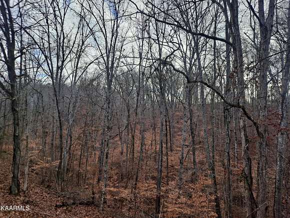 6.5 Acres of Residential Land for Sale in Dandridge, Tennessee - LandSearch