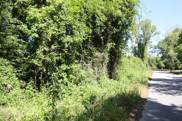 2.5 Acres of Land for Sale in Saint Helena Island, South Carolina