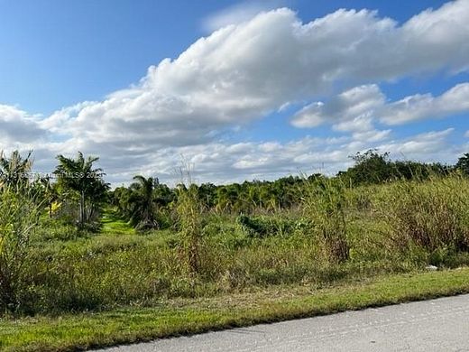 18.9 Acres of Land for Sale in Princeton, Florida