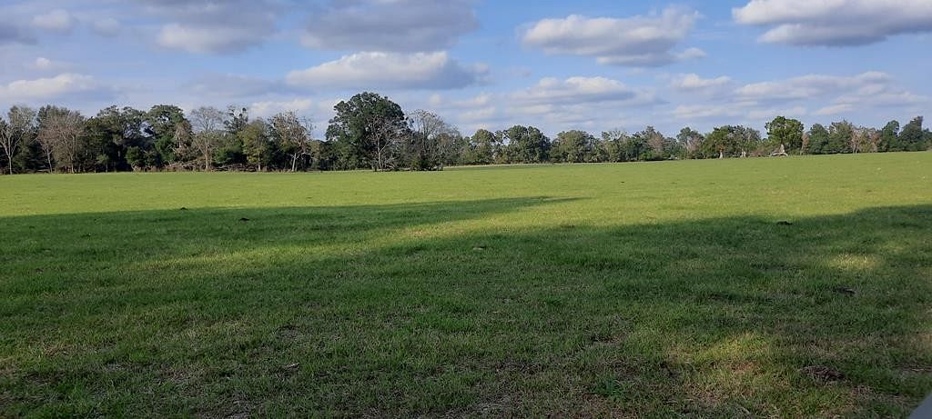 10.9 Acres of Land for Sale in Bell, Florida