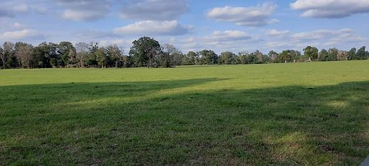 10.86 Acres of Land for Sale in Bell, Florida