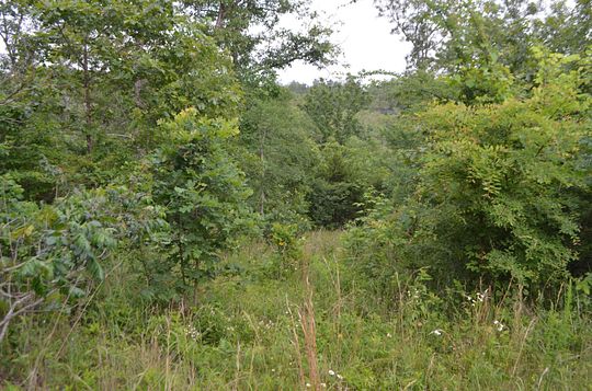 25.6 Acres of Recreational Land for Sale in Bruner, Missouri