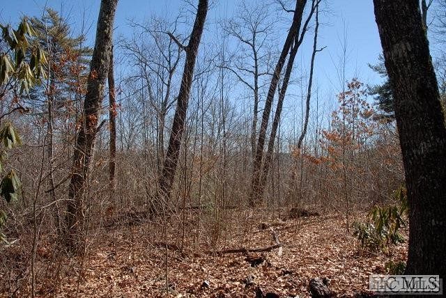 1.6 Acres of Land for Sale in Highlands, North Carolina