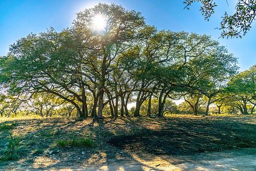 10 Acres of Land for Sale in Blanco, Texas