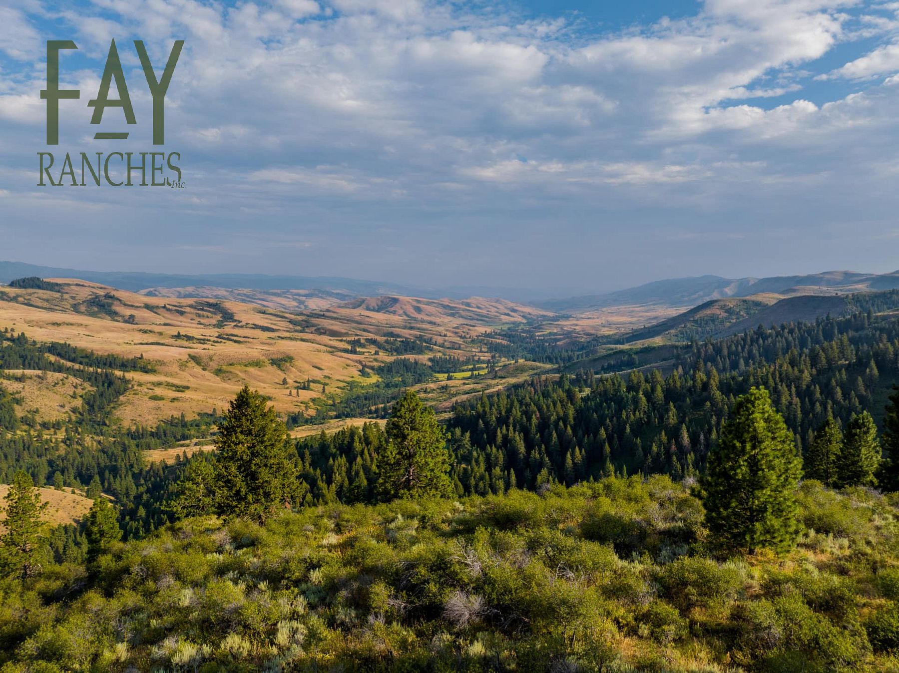 480 Acres of Recreational Land & Farm for Sale in Ola, Idaho LandSearch