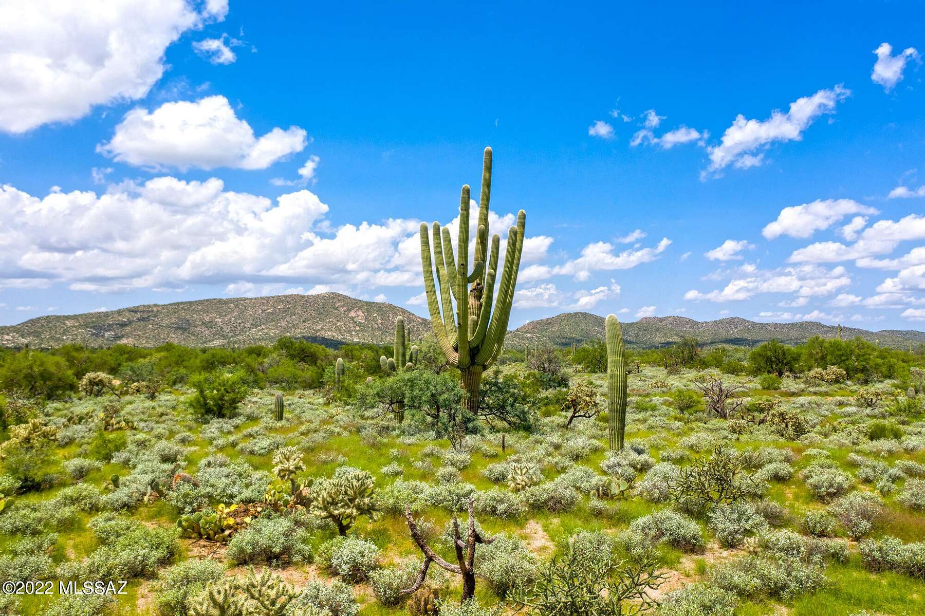 36 Acres of Land for Sale in Tucson, Arizona