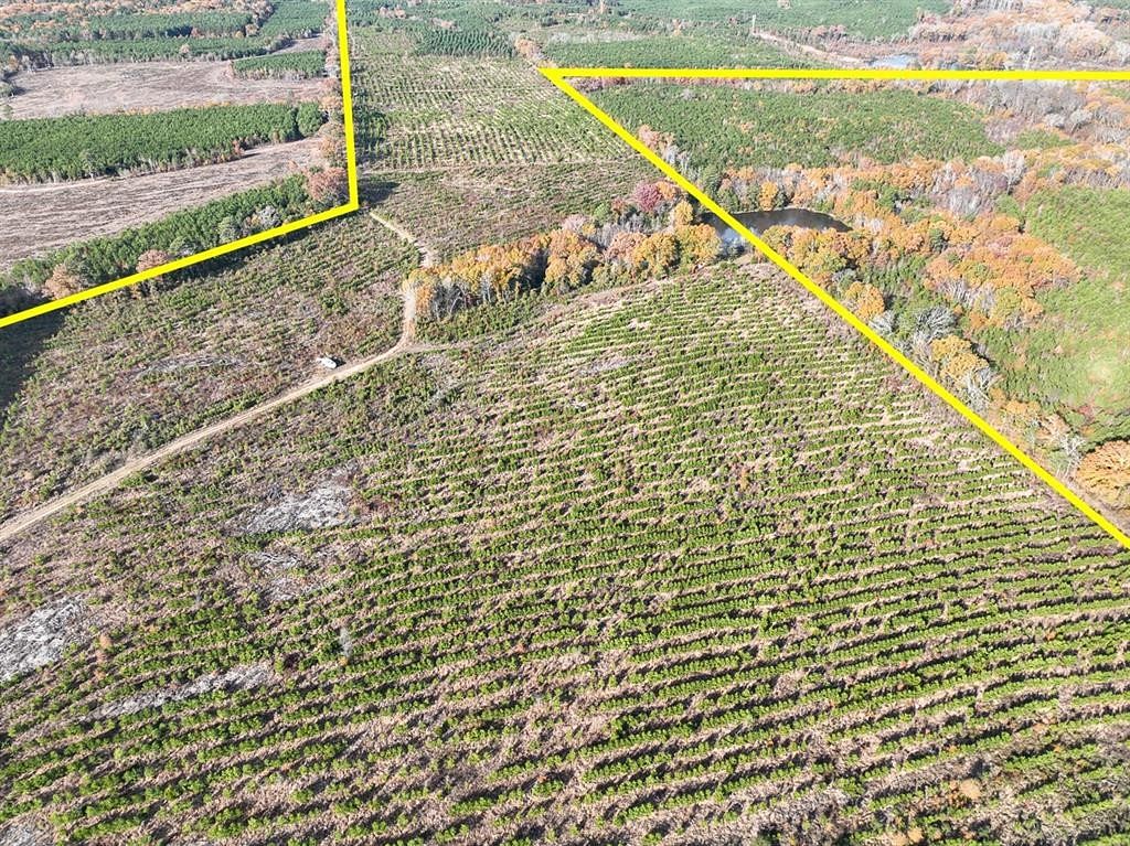 433 Acres of Land for Sale in Daingerfield, Texas