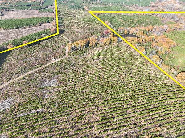 433 Acres of Recreational Land for Sale in Daingerfield, Texas