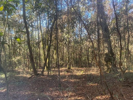 85.4 Acres of Land for Sale in Dothan, Alabama