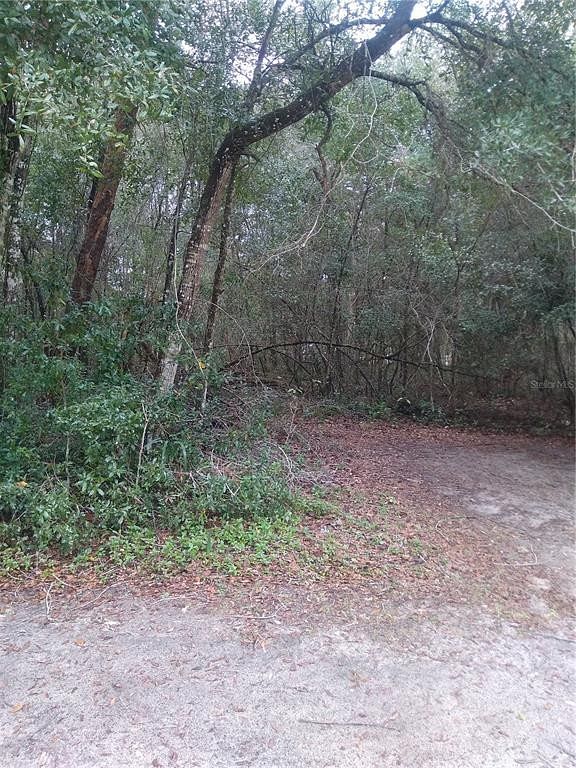 0.37 Acres of Residential Land for Sale in Silver Springs, Florida