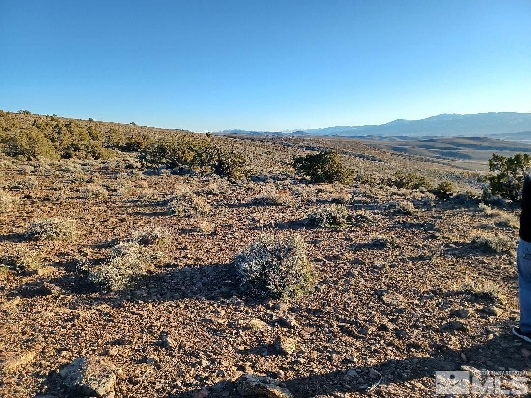 40 Acres of Land for Sale in Sparks, Nevada