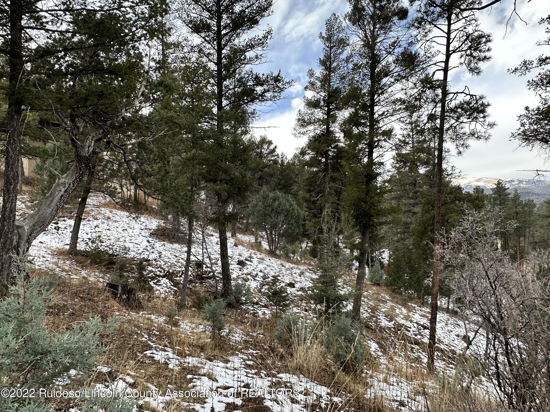 0.41 Acres of Residential Land for Sale in Ruidoso, New Mexico LandSearch