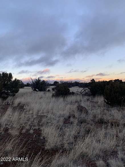 1 Acre of Residential Land for Sale in Concho, Arizona
