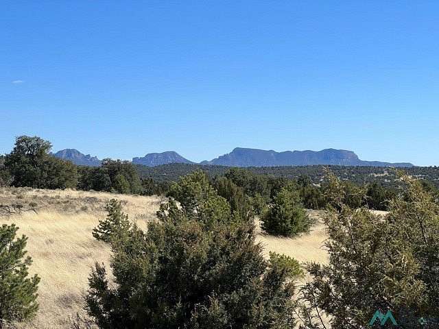 17.5 Acres of Recreational & Residential Land for Sale in Pie Town, New Mexico