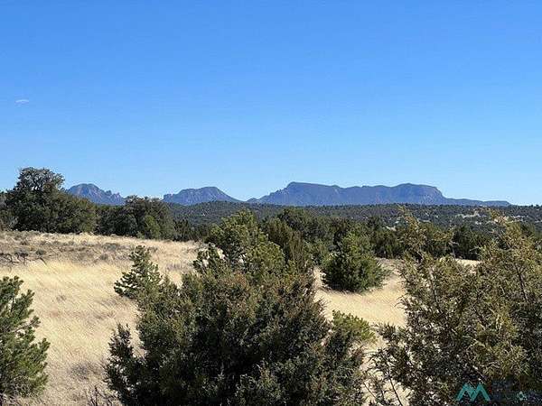 17.5 Acres of Recreational & Residential Land for Sale in Pie Town, New Mexico