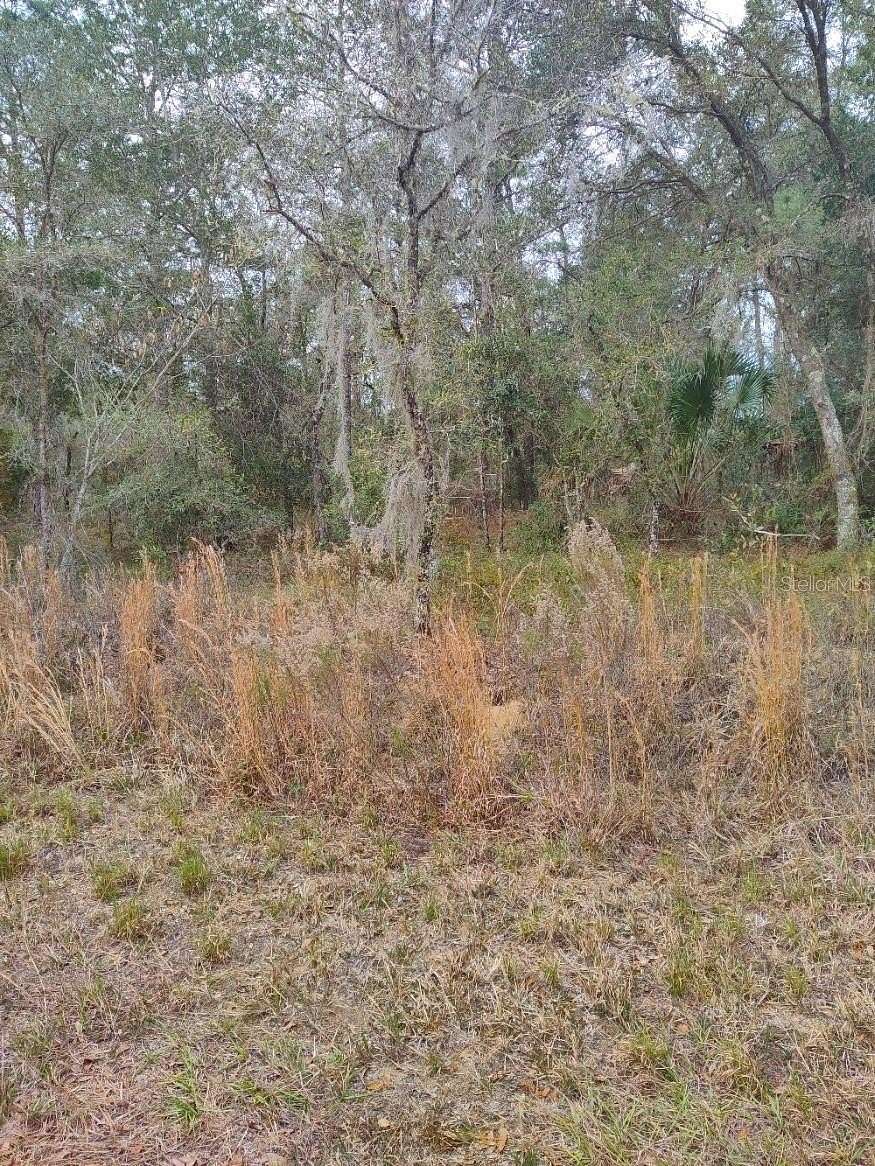 0.25 Acres of Residential Land for Sale in Dunnellon, Florida