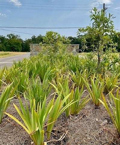 2.53 Acres of Residential Land for Sale in Boyce, Louisiana