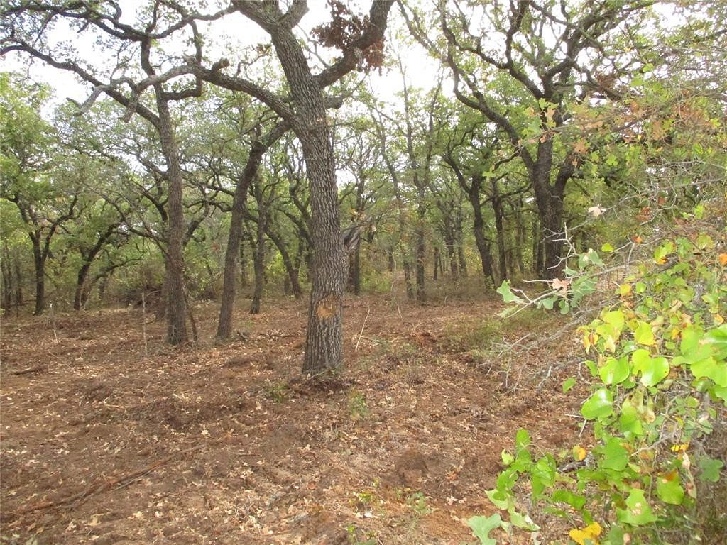 18 Acres of Land for Sale in Perrin, Texas
